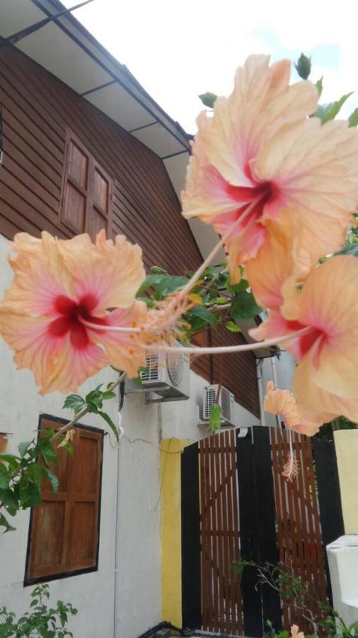 Experience Island Heritage Home Pantai Kok Exteriér fotografie